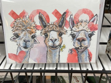 CARD: ALPACA TRIO V-DAY CARD Fashion