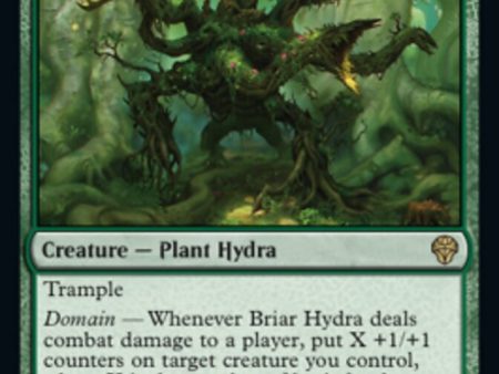 Briar Hydra [Dominaria United] Online Hot Sale