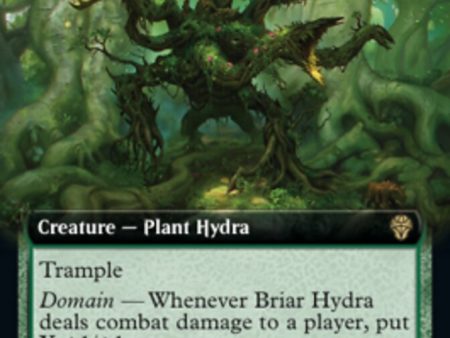 Briar Hydra (Extended Art) [Dominaria United] Fashion