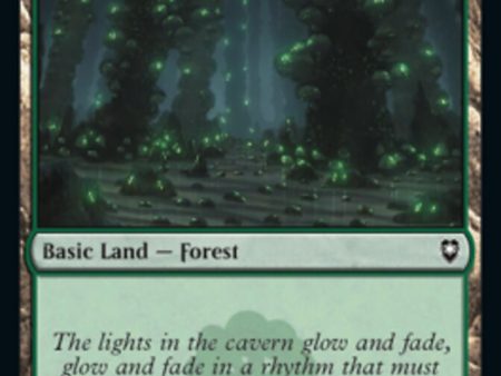 Forest (468) [Commander Legends: Battle for Baldur s Gate] Online