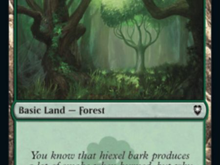 Forest (467) [Commander Legends: Battle for Baldur s Gate] For Cheap